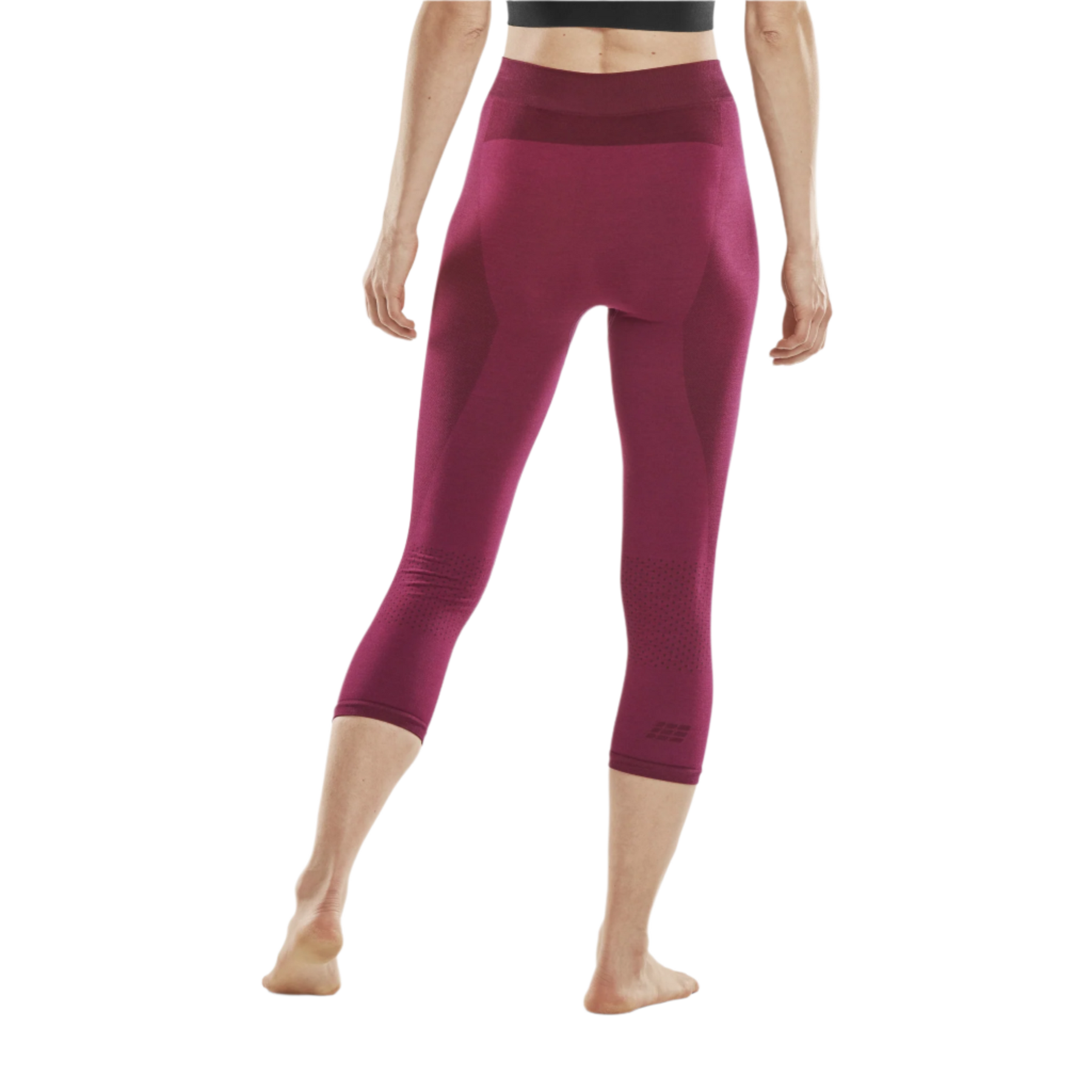 https://www.cepcompression.com/cdn/shop/files/ski-merino-three-quarter-base-tights-w-purple-W3D86A-2_1800x1800.png?v=1690318813