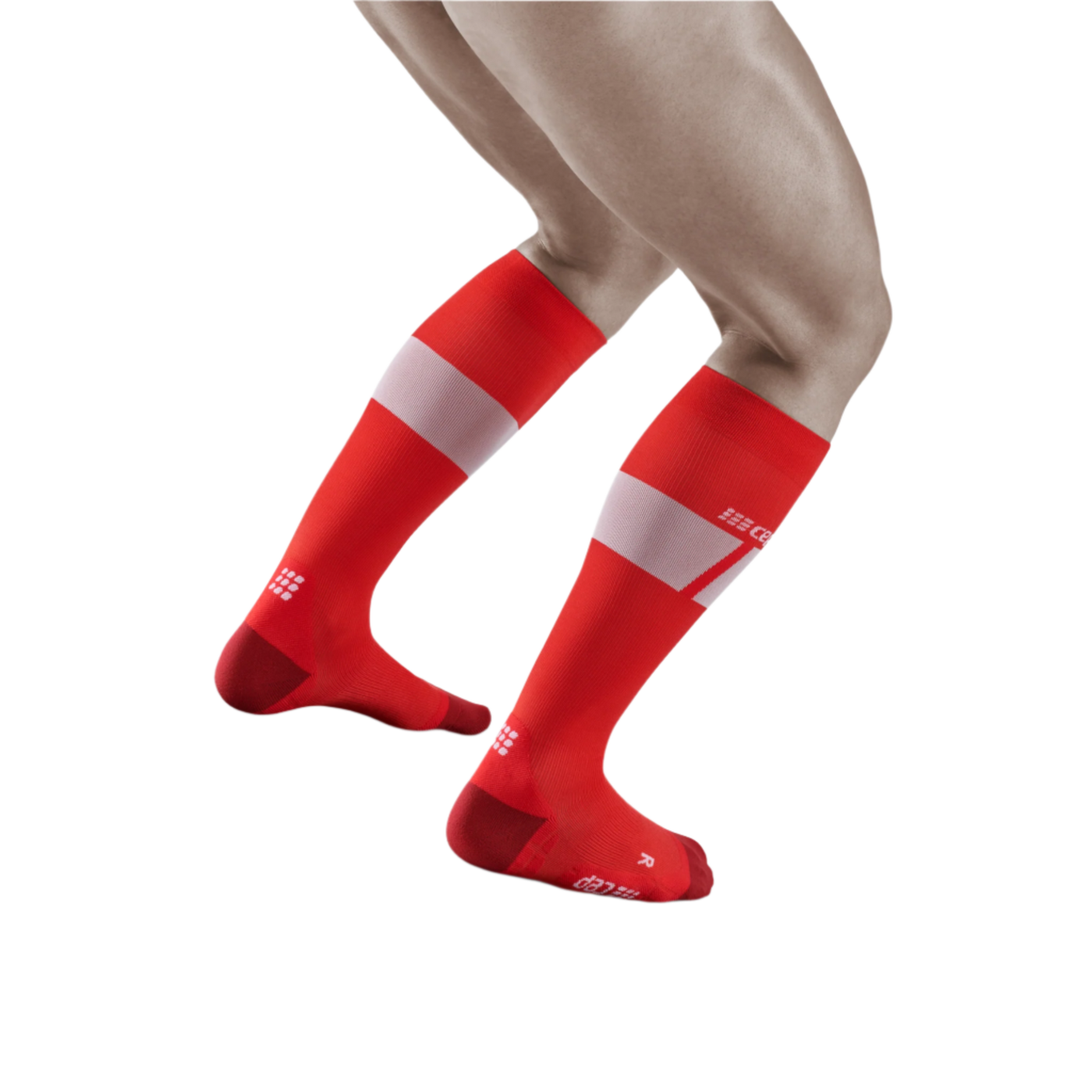 Ski Ultralight Tall Compression Socks, Men, Red/White, Back View Model