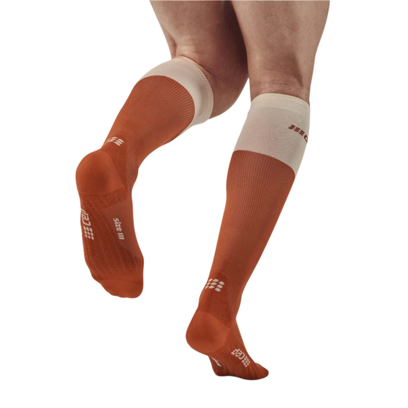 Bloom Tall Compression Socks, Men, Ginger/White, Back-View Model